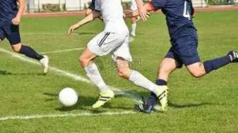 刀哥娱乐圈爆火，粉丝呼吁手下留情