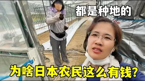 辰龙捕鱼游戏官网 产品 100952 cnu